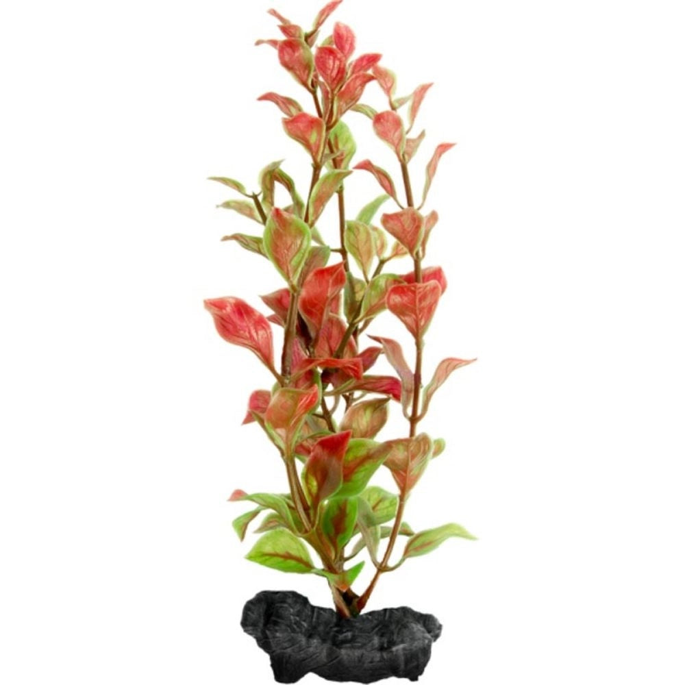 Tetra Pianta Decorativa in Plastica Modello Red Ludwigia (Ludwigia Repens) varie misure Modello: S
