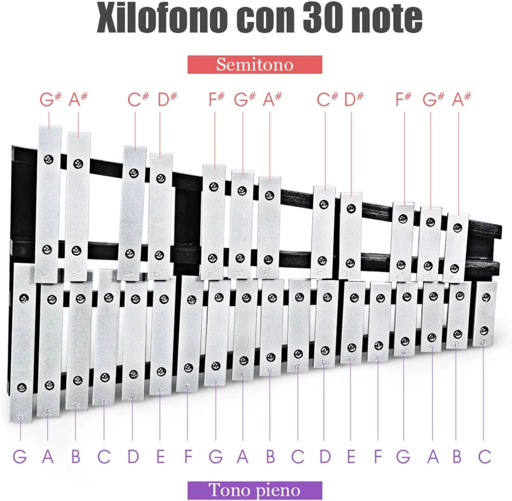 Xilofono 30 Note, Metallofono per Bambini, Glockenspiel Pieghevole con 2 Bacchete e Borsa, Strumento a Percussione a Mano per Bambini e Adulti