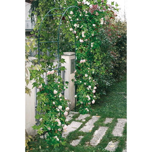 Arco per rose in ferro 37x130xh240 cm