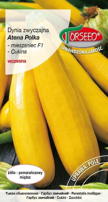 Zucca - Zucchine Atena Polka F1 2g