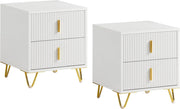 Set di 2 Comodino Camera da Letto - Comodino con 2 Cassetti, Tavolino Salotto - Moderna Cassettiera L40 x P40 x A47 cm Bianco FBT115-Wx2