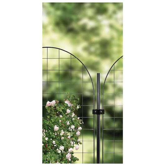 TRALICCIO ACCIAIO ARCO COLORE