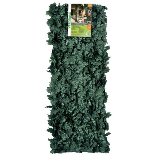 TRALICCIO EST.C/EDERA