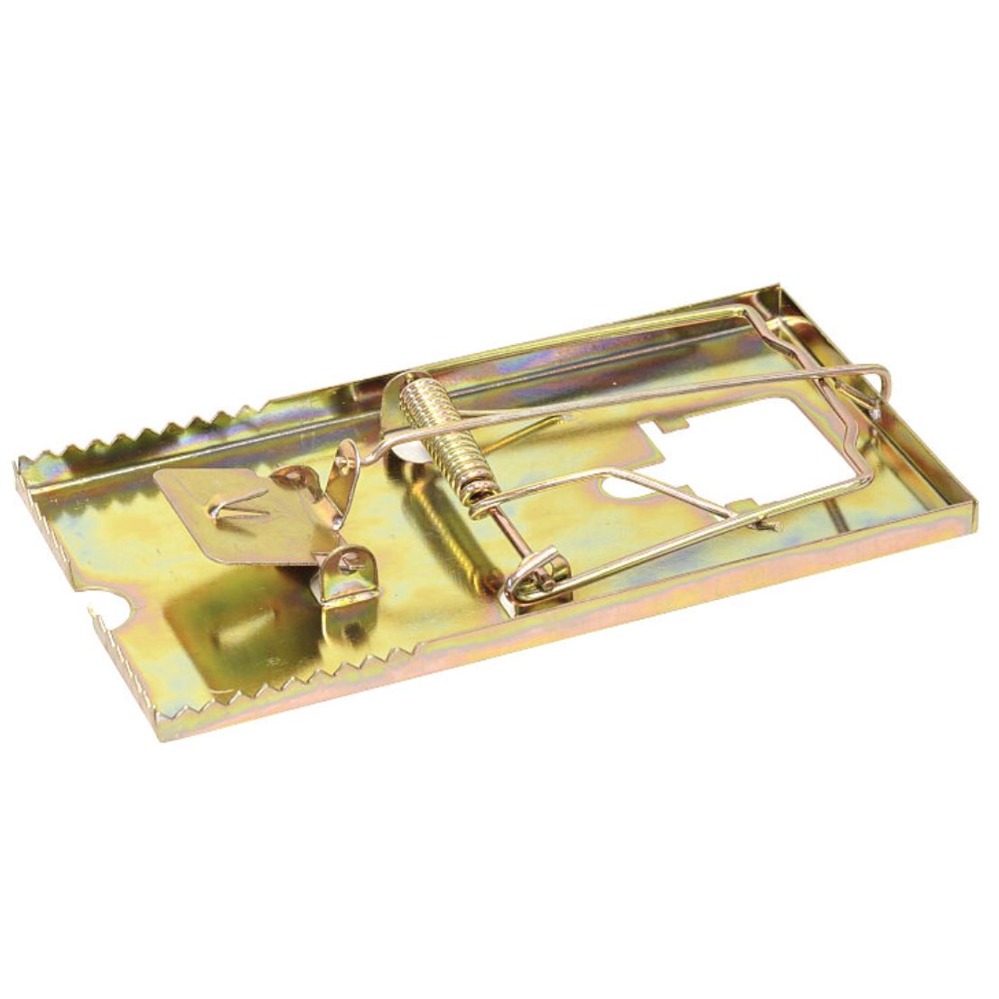 TRAPPOLA METALLO X TOPI