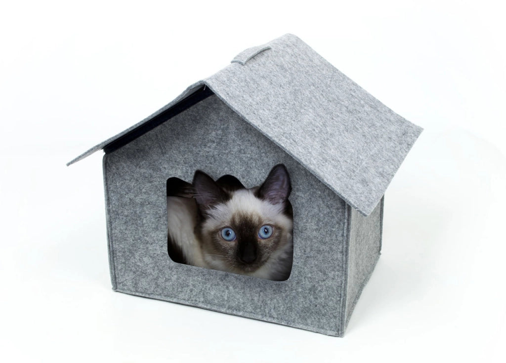 Cuccia Con Cuscino Per Animali Domestici Modello Casa Dolce Casa