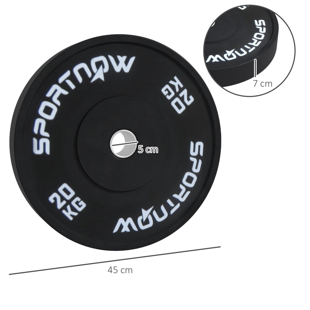 Set di 2 Dischi Palestra da 20kg per Bilanciere e Manubri con Attacco ?5cm, Nero