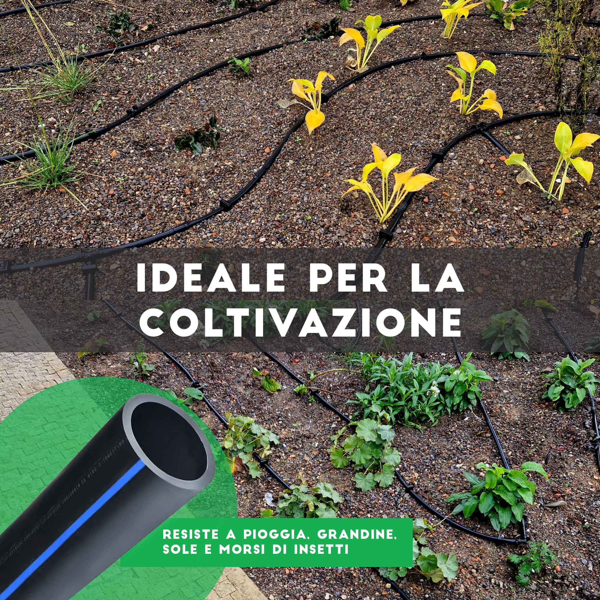 TUBO POLIETILENE PN 16 ALTA DENSITA' 50 METRI/DN 20