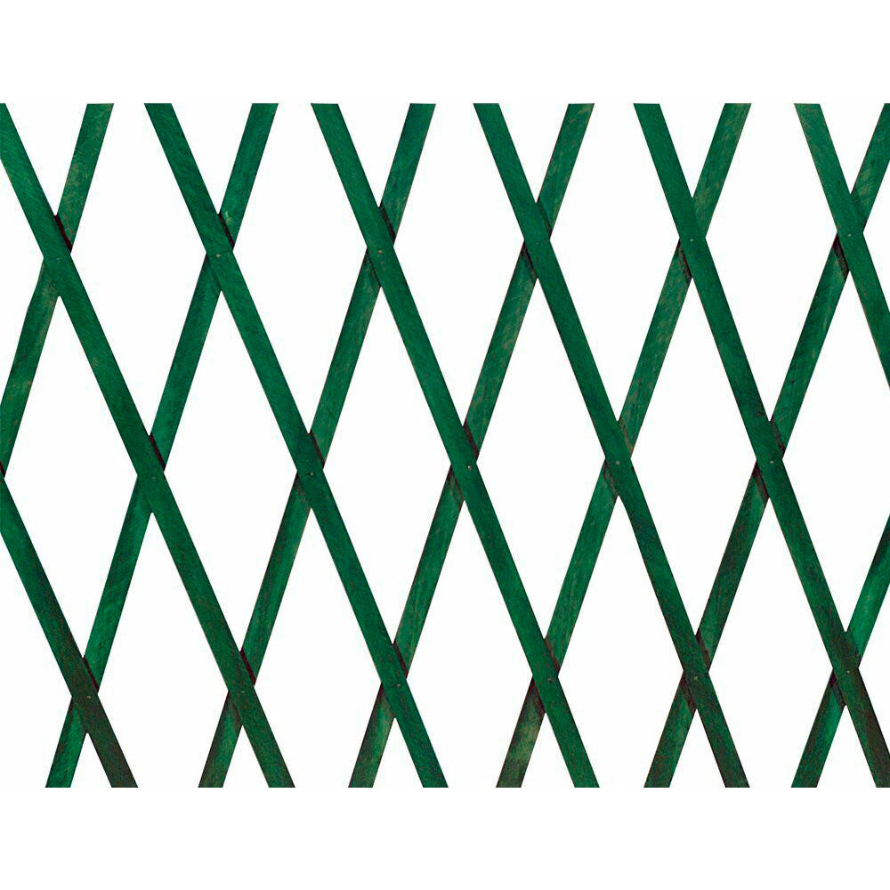 ESTENSIBILE PLAST.VERDE100X200