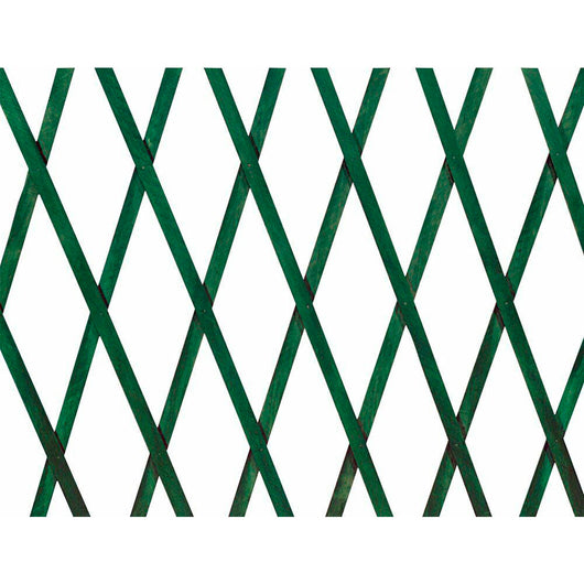 ESTENSIBILE PLAST.VERDE100X200