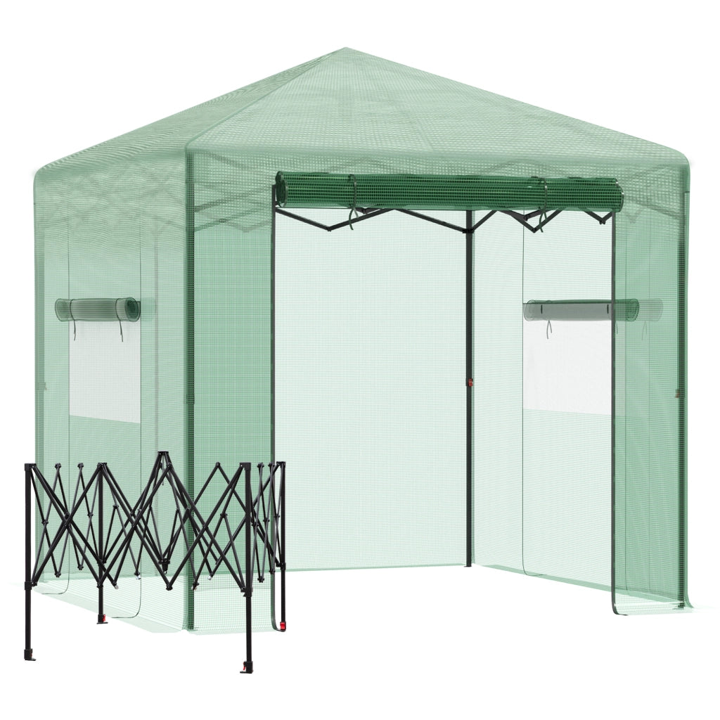 Serra pieghevole da giardino con porta e finestre arrotolabili, copertura in PE, struttura in acciaio, verde, 238 x 178 x 240 cm