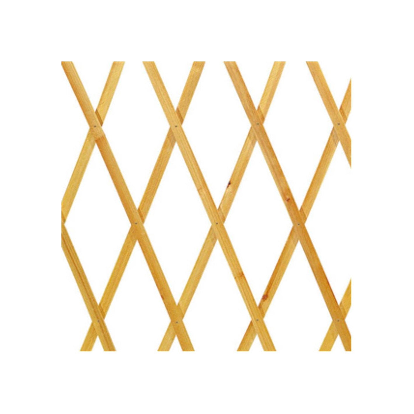 IO LEGNO NATUR.100x300              ESTENSIBILE 150x200 mm