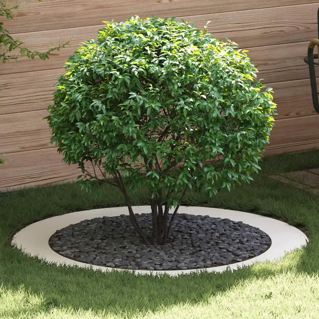 adatto per Anelli d'Albero Piatto 5 pz Bianco ?90 / 120 cm CFW6867751