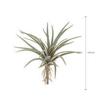 Set 6 Foglie Artificiali Tillandsia 16 cm