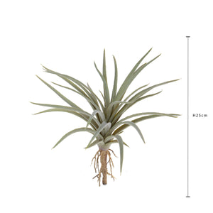 Set 6 Foglie Artificiali Tillandsia 16 cm