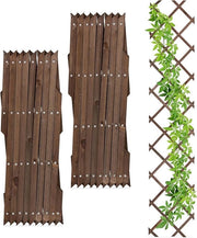Set di sostegni per piante estensibili a 3 pezzi per piante rampicanti - Giardino, balcone e terrazzo - Legno naturale marrone