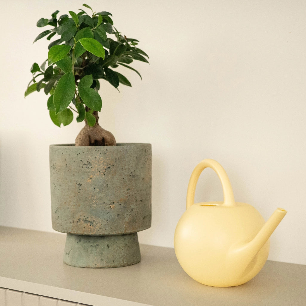 Annaffiatoio KADAX per giardino domestico, ideale per innaffiare fiori e piante, piccolo, in plastica, 1,2 litri.