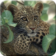 Mat di supporto per bicchieri in 3D lenticolare a forma di cucciolo di leopardo con tecnologia antiscivolo, artwork originale di Collin Bogle.
