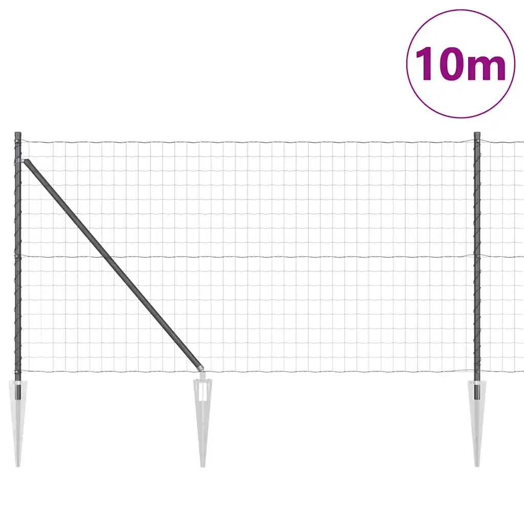 Recinzione con Posto Grigio 1 x 10 m Acciaio