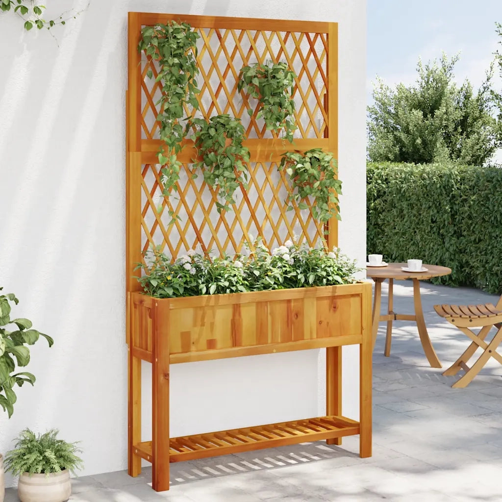 Fioriera con Traliccio-Vaso con Griglia-Fioriera con Supporto per Piante Rampicanti e Ripiano 100x32x185 cm Legno Acacia
