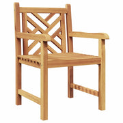 Sedia da Giardino 2 pz | Sedie da Esterno 60 x 58 x 90 cm Legno di teak solido