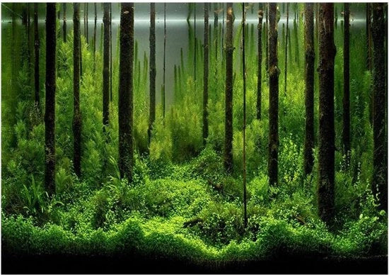 Tazza Acquario Fondale Paesaggio - Poster PVC Idrorepellente - Rimozione e Sostituzione - 61 * 30cm .
