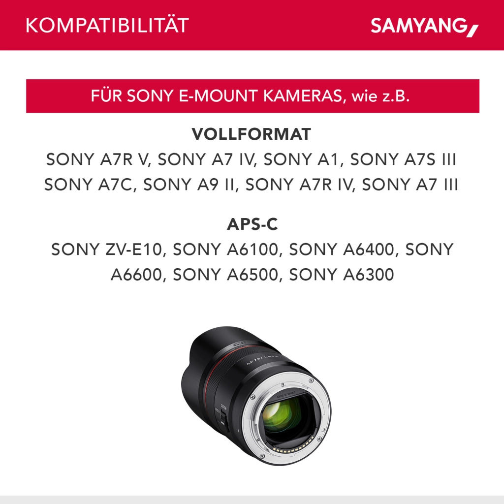 Obiettivo da ritratto AF 75mm F1.8 FE - Autofocus full frame e APS-C a focale fissa - compatibile con l'attacco E di Sony per A9 II A7 III A7C II A7C R A6600 A6500 A6400 A6300 e molti altri