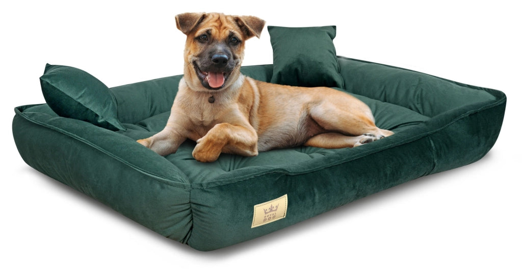 AIO FACTORY Letto per cani 75x65 cm Velluto verde scuro impermeabile