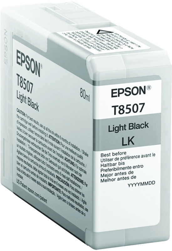 Epson Singlepack Light Black T850700