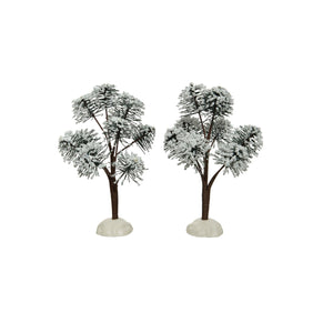 ALBERI VERDE INNEVATI 2PZ