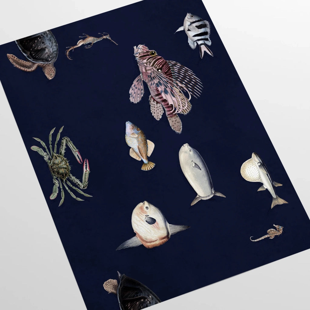 Carta da Parati Pesci Tropicali Blu Carta Vegana 250x200cm 5,5mq