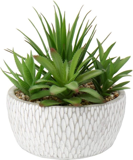 Succulente in vaso di cemento decorativo per camera da letto, tavolo, soggiorno, bagno, ufficio, comodino, altezza 16cm