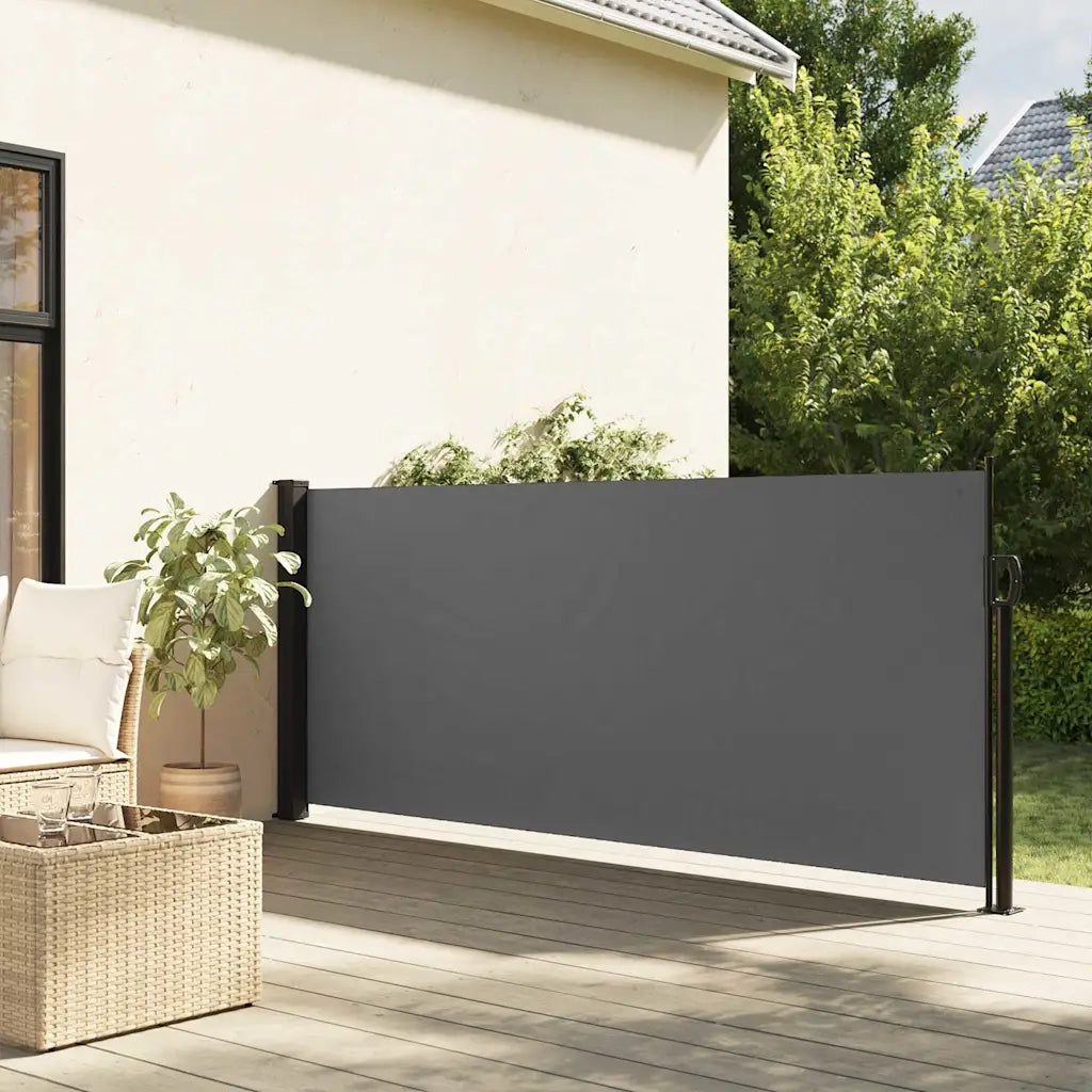 Tenda da Sole Laterale Retrattile-Tenda parasole per balcone antracite 100x500 cm