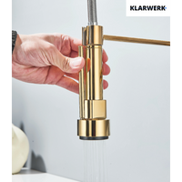 Björn |gastronomia rubinetto monoforo a parete per acqua fredda oro|da cucina professionale in acciaio inox a due getti|doppio per lavello ristorante