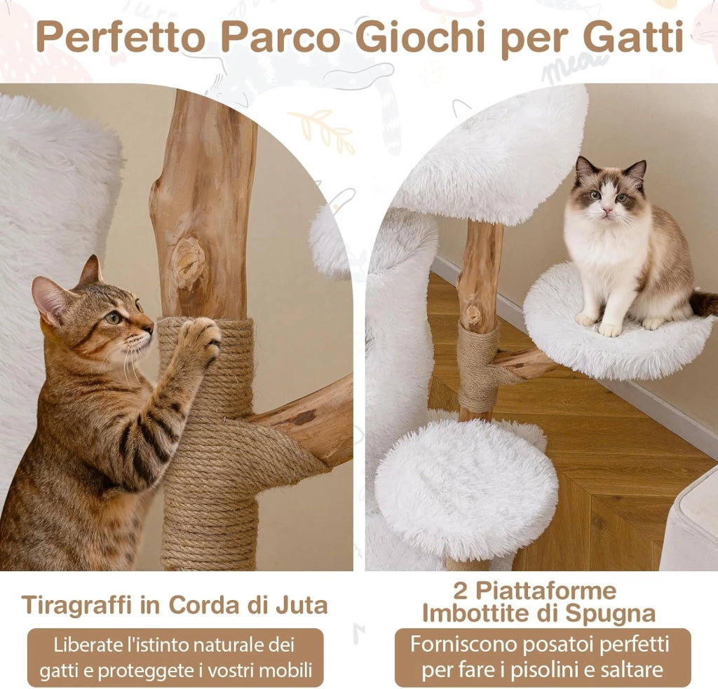 Albero per Gatti Moderno da Interno, Tiragraffi per Gatti con Rametti in Legno, Tiragraffi, Condo a 2 Piani, Posatoio Morbido in Cima e Piattaforme Imbottite, Centro Attività per Gattini