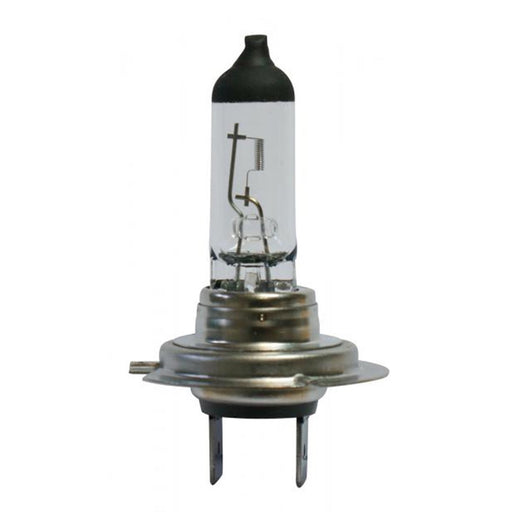 LAMPADA AUTO BOSCH H7 PZ. 1