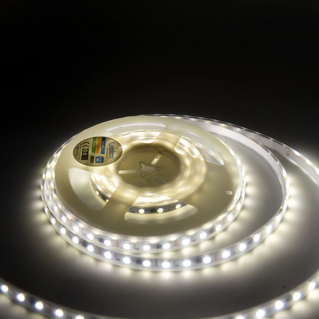 STRISCIA LED IP65 120 LED/M CON LUCE NATURALE 4000K ED EFFETTO PIOGGIA - FLESSIBILE E PROLUNGABILE ALTA LUMINOSITA'
