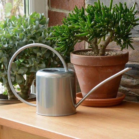 Giocatore per interno di acciaio inossidabile con verniciatura a polvere per piante da appartamento design moderno con imboccatura stretta e manico alto 14 L argento.