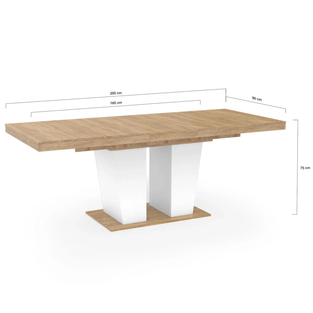 IDMarket - ELIAD tavolo da pranzo rettangolare allungabile 6-10 persone legno e bianco 160-200 cm
