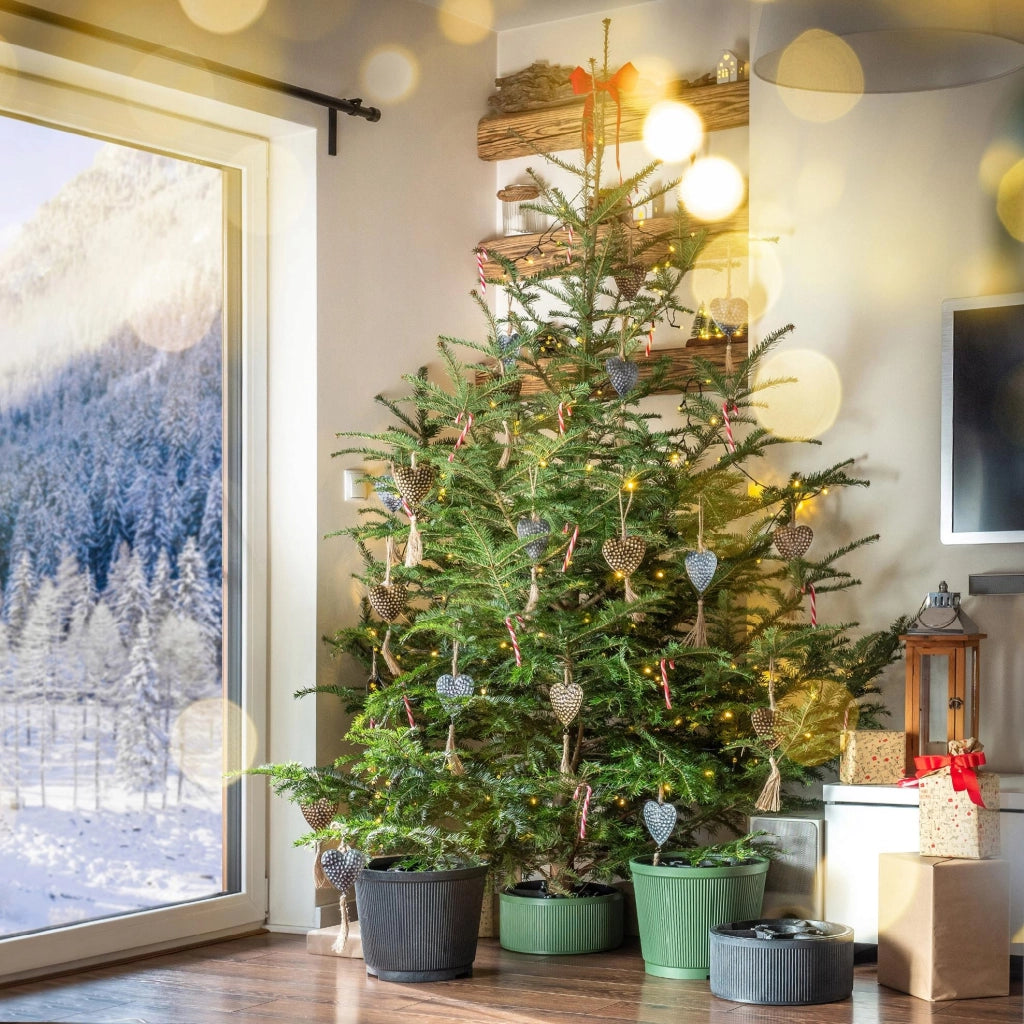 Supporto per albero di Natale grande KADAX, 2,5 m