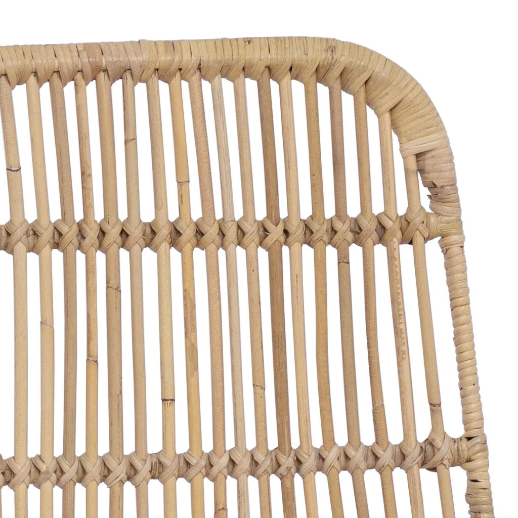 Sedia da pranzo 2 pcs Naturale 41 x 55 x 85 cm Rattan e acciaio 42033206