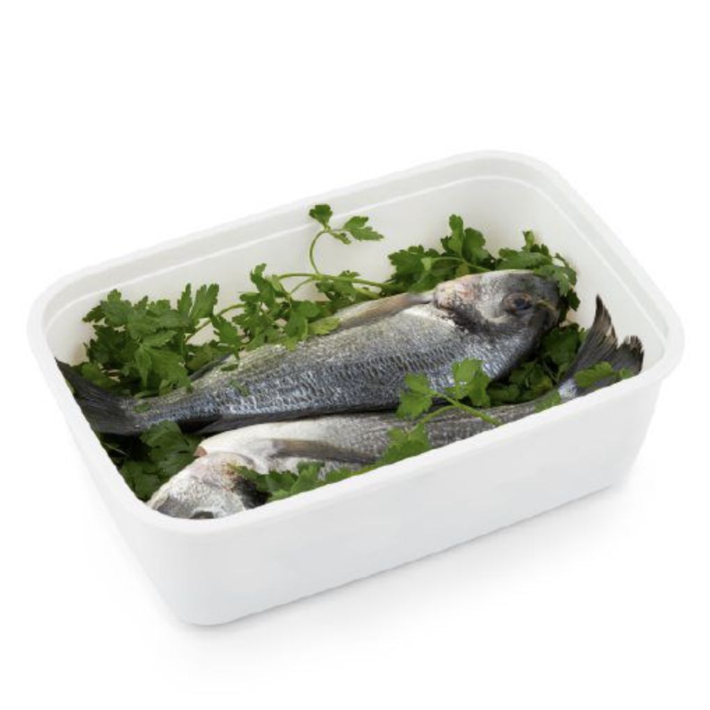 CONTENITORE PER FREEZER3.7 L