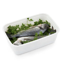 CONTENITORE PER FREEZER3.7 L