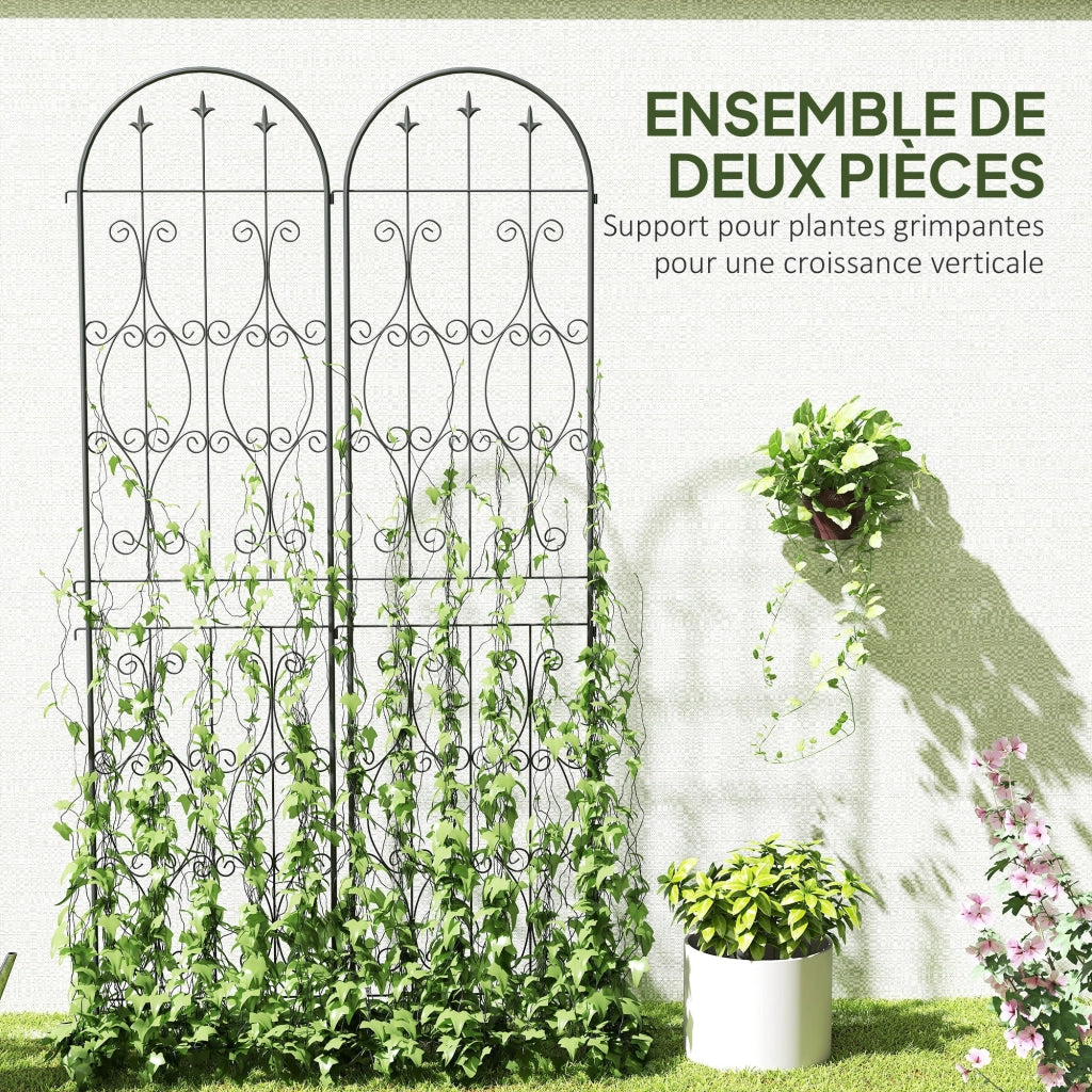 Supporto per piante rampicanti ¨C zephmum ¨C metallo 50x220 cm nero