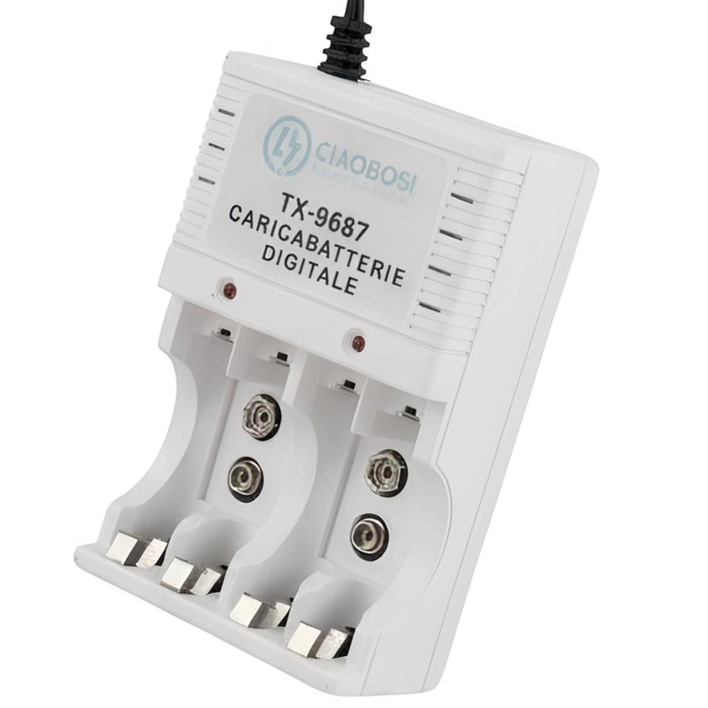 Caricabatterie digitale AA e AAA a 4 canali Presa 220V AC 130mA Grigio Avizar
