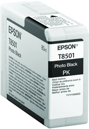 Epson Singlepack Photo Black T850100