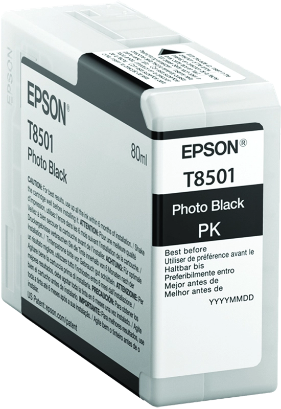 Epson Singlepack Photo Black T850100