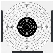 Trappola per pallini Nero 17.5 x 17.5 x 17 cm Acciaio CFW5818901