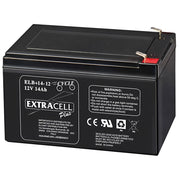 Batteria Piombo AGM 12V 14Ah Ciclica Ermetica Senza Manutenzione per Biciclette Elettriche e Carrelli