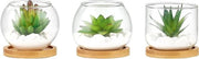 Set di Mini Piantine Artificiale in Vaso di Vetro di 3 pezzi - Decorazione per Ufficio - Finto Cespuglio Verde - Cassa di Bambù - Scheda per Libri - Decorazione per Bagno e Cucina - Tavolo di Marmo Centrale