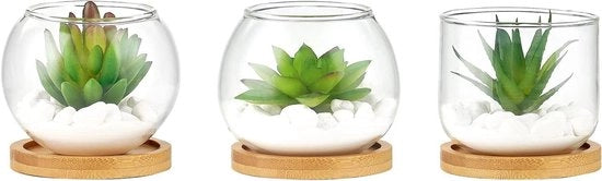 Set di Mini Piantine Artificiale in Vaso di Vetro di 3 pezzi - Decorazione per Ufficio - Finto Cespuglio Verde - Cassa di Bambù - Scheda per Libri - Decorazione per Bagno e Cucina - Tavolo di Marmo Centrale